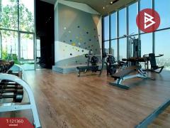 ขายคอนโด ไลฟ์ สุขุมวิท62 พระโขนง กรุงเทพมหานคร-202509091708121757412492715.jpg