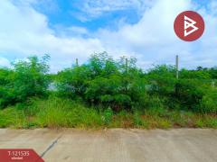 ขายที่ดินเปล่า-เนื้อที่-3-ไร่-3-งาน-95-ต