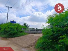 ขายที่ดินเปล่า เนื้อที่ 3 ไร่ 3 งาน 95 ตร.วา นางตะเคียน สมุทรสงคราม-202509091923051757420585599.jpg