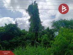 ขายที่ดินเปล่า เนื้อที่ 3 ไร่ 3 งาน 95 ตร.วา นางตะเคียน สมุทรสงคราม-202509091923061757420586744.jpg