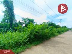 ขายที่ดินเปล่า เนื้อที่ 3 ไร่ 3 งาน 95 ตร.วา นางตะเคียน สมุทรสงคราม-202509091923071757420587270.jpg