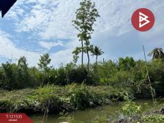 ขายที่ดินเปล่า เนื้อที่ 3 ไร่ 3 งาน 95 ตร.วา นางตะเคียน สมุทรสงคราม-202509091923071757420587797.jpg