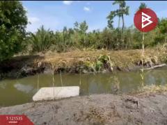 ขายที่ดินเปล่า เนื้อที่ 3 ไร่ 3 งาน 95 ตร.วา นางตะเคียน สมุทรสงคราม-202509091923081757420588322.jpg