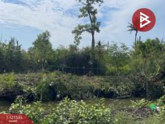 ขายที่ดินเปล่า เนื้อที่ 3 ไร่ 3 งาน 95 ตร.วา นางตะเคียน สมุทรสงคราม-202509091923081757420588841.jpg