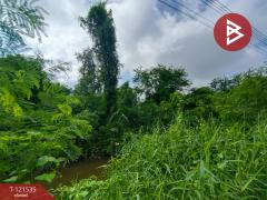 ขายที่ดินเปล่า เนื้อที่ 3 ไร่ 3 งาน 95 ตร.วา นางตะเคียน สมุทรสงคราม-202509091923091757420589371.jpg