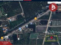 ขายที่ดินเปล่า เนื้อที่ 3 ไร่ 3 งาน 95 ตร.วา นางตะเคียน สมุทรสงคราม-202509091923101757420590425.jpg