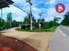 ขายที่ดินเปล่า เนื้อที่ 3 ไร่ 3 งาน 95 ตร.วา นางตะเคียน สมุทรสงคราม-202509091923111757420591475.jpg