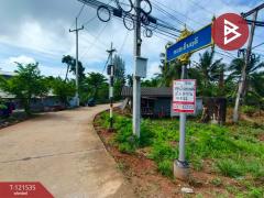 ขายที่ดินเปล่า เนื้อที่ 3 ไร่ 3 งาน 95 ตร.วา นางตะเคียน สมุทรสงคราม-202509091923121757420592000.jpg