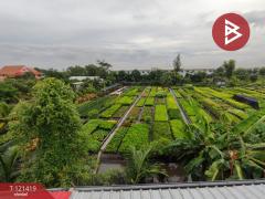 ขายทาวน์เฮ้าส์ โครงการบ้านพฤกษา120 กาญจนาฯ-กันตนา (Baan Pruksa120 Kanchana-Kantana) บางใหญ่ นนทบุรี-202509091948491757422129249.jpg