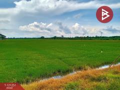 ขายที่ดินแปลงใหญ่ เนื้อที่ 99 ไร่ 1 งาน 68.0 ตารางวา พื้นที่สีส้ม คลองอุดมชลจร ฉะเชิงเทรา ทำเลทอง-202509100929281757471368245.jpg