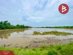 ขายที่ดินแปลงใหญ่ เนื้อที่ 99 ไร่ 1 งาน 68.0 ตารางวา พื้นที่สีส้ม คลองอุดมชลจร ฉะเชิงเทรา ทำเลทอง-202509100929281757471368790.jpg