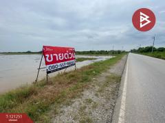 ขายที่ดินแปลงใหญ่ เนื้อที่ 99 ไร่ 1 งาน 68.0 ตารางวา พื้นที่สีส้ม คลองอุดมชลจร ฉะเชิงเทรา ทำเลทอง-202509100929331757471373993.jpg