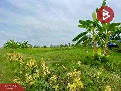 ขายที่ดินเปล่า เนื้อที่ 23 ไร่ 2 งาน ต.คลองเปรง จ.ฉะเชิงเทรา บรรยากาศดี ทำเลติดถนน-202509100937381757471858393.jpg