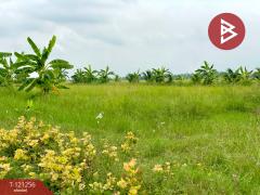 ขายที่ดินเปล่า เนื้อที่ 23 ไร่ 2 งาน ต.คลองเปรง จ.ฉะเชิงเทรา บรรยากาศดี ทำเลติดถนน-202509100937411757471861664.jpg