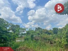 ขายที่ดิน เนื้อที่ 47 ไร่ 1 งาน 7 ตร.วา คลองสามวา กรุงเทพมหานคร-202509100959451757473185556.jpg