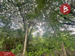 ขายที่ดิน เนื้อที่ 47 ไร่ 1 งาน 7 ตร.วา คลองสามวา กรุงเทพมหานคร-202509100959461757473186617.jpg