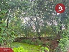 ขายที่ดิน เนื้อที่ 47 ไร่ 1 งาน 7 ตร.วา คลองสามวา กรุงเทพมหานคร-202509100959471757473187142.jpg