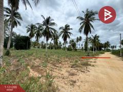 ขายที่ดิน-เนื้อที่-8-ไร่-2-งาน-62-ตร.วา-บา