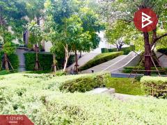 ขายคอนโดมิเนียม ไนท์บริดจ์ ไพร์ม อ่อนนุช (KnightsBridge Prime Onnut) วัฒนา กรุงเทพมหานคร-202509101108121757477292440.jpg