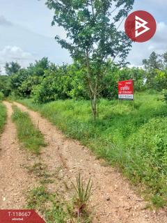 ขายที่ดินพร้อมสวนผลไม้ เนื้อที่ 7 ไร่ 18 ตร.วา ท่าปลา อุตรดิตถ์-202509101507231757491643835.jpg