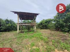 ขายที่ดินพร้อมสวนผลไม้ เนื้อที่ 7 ไร่ 18 ตร.วา ท่าปลา อุตรดิตถ์-202509101507241757491644905.jpg