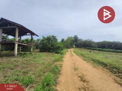 ขายที่ดินพร้อมสวนผลไม้ เนื้อที่ 7 ไร่ 18 ตร.วา ท่าปลา อุตรดิตถ์-202509101507251757491645716.jpg