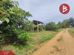 ขายที่ดินพร้อมสวนผลไม้ เนื้อที่ 7 ไร่ 18 ตร.วา ท่าปลา อุตรดิตถ์-202509101507281757491648788.jpg