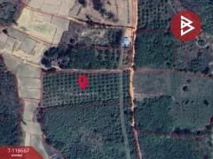 ขายที่ดินพร้อมสวนผลไม้ เนื้อที่ 7 ไร่ 18 ตร.วา ท่าปลา อุตรดิตถ์-202509101507301757491650409.jpg