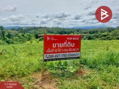 ขายที่ดิน เนื้อที่ 12 ไร่ 1 งาน 55 ตร.วา ท่าปลา อุตรดิตถ์