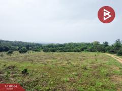 ขายที่ดิน เนื้อที่ 12 ไร่ 1 งาน 55 ตร.วา ท่าปลา อุตรดิตถ์-202509101523391757492619126.jpg