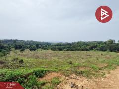 ขายที่ดิน เนื้อที่ 12 ไร่ 1 งาน 55 ตร.วา ท่าปลา อุตรดิตถ์-202509101523391757492619652.jpg