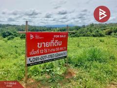 ขายที่ดิน เนื้อที่ 12 ไร่ 1 งาน 55 ตร.วา ท่าปลา อุตรดิตถ์-202509101523401757492620172.jpg