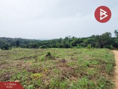 ขายที่ดิน เนื้อที่ 12 ไร่ 1 งาน 55 ตร.วา ท่าปลา อุตรดิตถ์-202509101523401757492620701.jpg