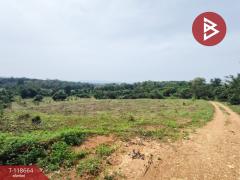 ขายที่ดิน เนื้อที่ 12 ไร่ 1 งาน 55 ตร.วา ท่าปลา อุตรดิตถ์-202509101523411757492621219.jpg