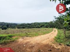 ขายที่ดิน เนื้อที่ 12 ไร่ 1 งาน 55 ตร.วา ท่าปลา อุตรดิตถ์-202509101523411757492621739.jpg