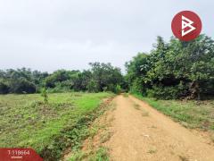 ขายที่ดิน เนื้อที่ 12 ไร่ 1 งาน 55 ตร.วา ท่าปลา อุตรดิตถ์-202509101523421757492622260.jpg