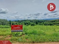 ขายที่ดิน เนื้อที่ 12 ไร่ 1 งาน 55 ตร.วา ท่าปลา อุตรดิตถ์-202509101523431757492623291.jpg