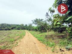 ขายที่ดิน เนื้อที่ 12 ไร่ 1 งาน 55 ตร.วา ท่าปลา อุตรดิตถ์-202509101523431757492623806.jpg