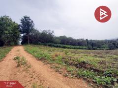 ขายที่ดิน เนื้อที่ 12 ไร่ 1 งาน 55 ตร.วา ท่าปลา อุตรดิตถ์-202509101523441757492624328.jpg