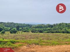 ขายที่ดิน เนื้อที่ 12 ไร่ 1 งาน 55 ตร.วา ท่าปลา อุตรดิตถ์-202509101523441757492624848.jpg