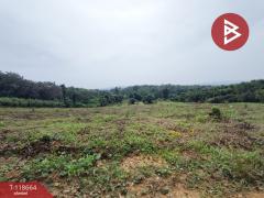 ขายที่ดิน เนื้อที่ 12 ไร่ 1 งาน 55 ตร.วา ท่าปลา อุตรดิตถ์-202509101523451757492625367.jpg