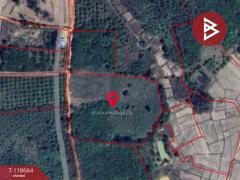 ขายที่ดิน เนื้อที่ 12 ไร่ 1 งาน 55 ตร.วา ท่าปลา อุตรดิตถ์-202509101523451757492625887.jpg