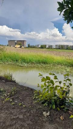 ขายที่ดิน นครปฐม Sale Nice Land 5 Rais Nakhon Pathom suitable for residence and Projects Selling land 8,000 sq.m. at Nakhon Pathom-202509101654481757498088739.jpg