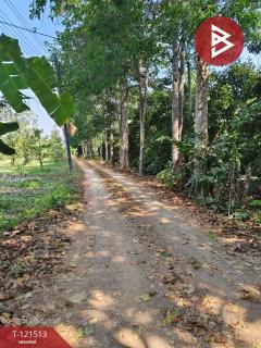 ขายบ้านเดี่ยวพร้อมที่ดิน เนื้อที่ 10 ไร่ 18 ตร.วา ท่าใหม่ จันทบุรี-202509101705021757498702223.jpg