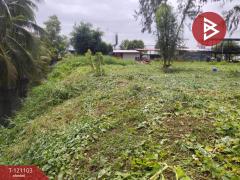 ขายที่ดิน เนื้อที่ 2 ไร่ 34.7 ตร.วา ปากเกร็ด นนทบุรี-202509110907321757556452342.jpg