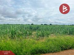 ขายที่ดิน เนื้อที่ 27 ไร่ 1 งาน 68 ตร.วา ห้วยกระเจา กาญจนบุรี-202509111144081757565848038.jpg