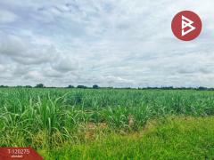 ขายที่ดิน เนื้อที่ 27 ไร่ 1 งาน 68 ตร.วา ห้วยกระเจา กาญจนบุรี-202509111144081757565848594.jpg