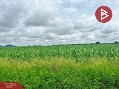 ขายที่ดิน เนื้อที่ 27 ไร่ 1 งาน 68 ตร.วา ห้วยกระเจา กาญจนบุรี-202509111144091757565849130.jpg