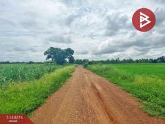 ขายที่ดิน เนื้อที่ 27 ไร่ 1 งาน 68 ตร.วา ห้วยกระเจา กาญจนบุรี-202509111144091757565849671.jpg