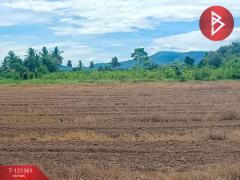 ขายที่ดิน เนื้อที่ 2 ไร่ ท่ายาง เพชรบุรี